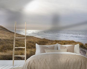 Schoorl Dunes by Johan Zwarthoed