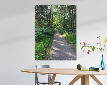 Nederlandse bos in de Lente van Afrodite Zegers