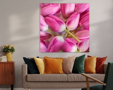 roze tulpen van Claudia Moeckel