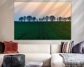 Landschaft mit jungem Getreide von Marianne Twijnstra