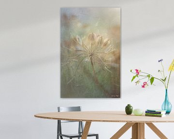 Dry Flower