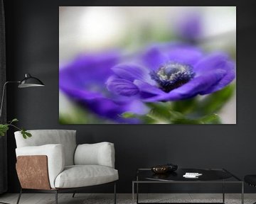 Anemone von Janny Kleijn