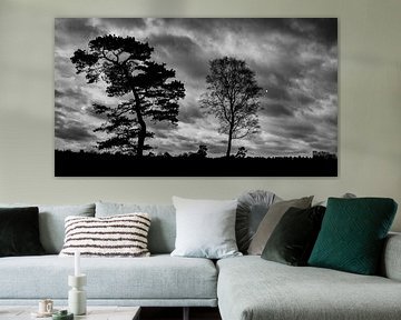 Een ingewikkelde rekensom; twee bomen tegen een wolkenlucht van vijftig tinten grijs van Hans de Waay