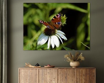 Vlinder op bloem van Annemarie Kroon