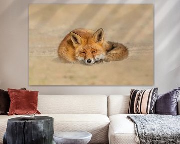 Lazy fox by Anna Stelloo