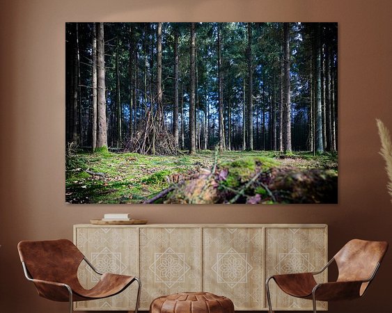 Aperçu de la chambre