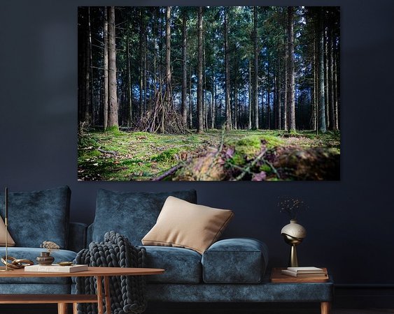 Aperçu de la chambre