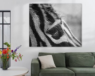 Zebra wat heb je lange wimpers, close up in zwart-wit van Jolanda de Jong-Jansen