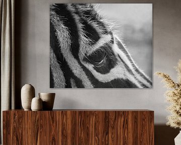 Des cils et un œil de zèbre en noir et blanc. sur Jolanda de Jong-Jansen