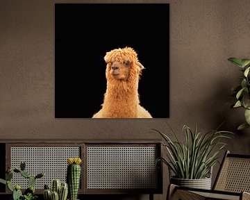 Portret van een bruine Alpaca van Jolanda de Jong-Jansen