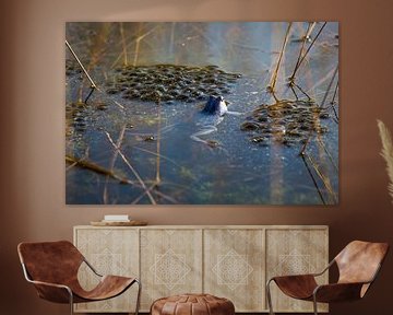 Blauer Frosch schwimmt zwischen Froschlaichen in einem Moor von Ger Beekes