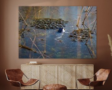 Une grenouille bleue nage entre les oeufs de grenouilles dans un marais sur Ger Beekes