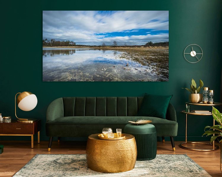 Aperçu de la chambre