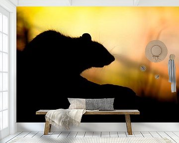 Rat... by Arno van Zon photography