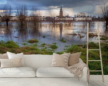 High tide on the IJssel near Zutphen by Arnold van Rooij