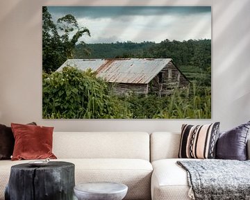 Cuban Tobacco Barn by Rick van Oers