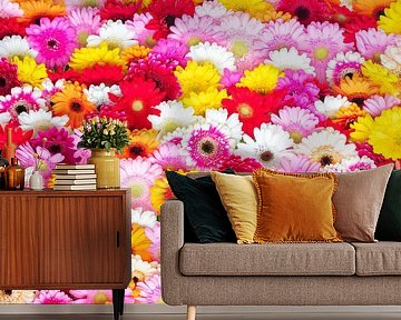 Colour abundance of Gerberas by Martin Bergsma