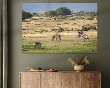 Zebra's in heuvelachtig landschap van Zuid-Afrika van Simone Janssen