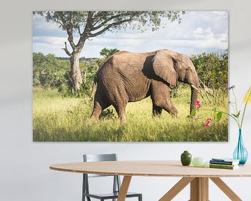 Männlicher Elefant in typisch afrikanischer Landschaft von Simone Janssen