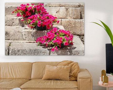 Mit Blumen geschmückte alte Treppe, Taormina, Provinz Messina, Sizilien, Italien, Europa, Sizilien, 