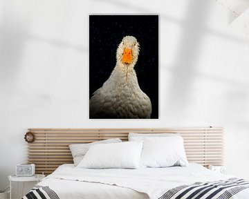 Eendenportret, duck portrait van Corrine Ponsen