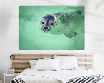 Zwemmend zeehondje van dichtbij van Simone Janssen