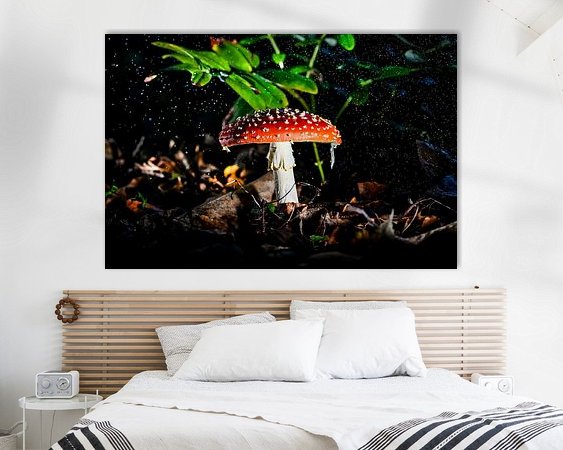 Aperçu de la chambre