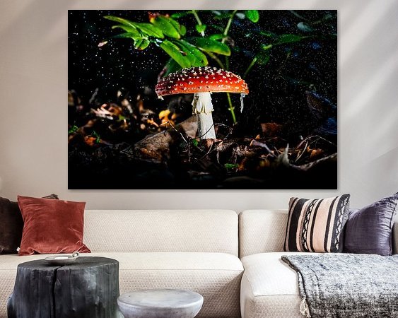 Aperçu de la chambre