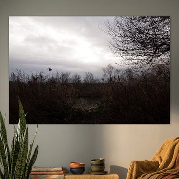 Ein Sonnenstrahl bringt Licht in die Winterdunkelheit