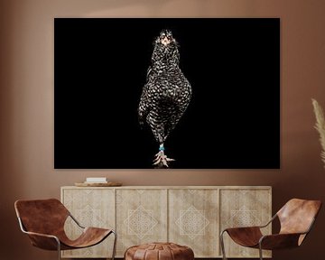 Deftige kip, chicken portrait van Corrine Ponsen
