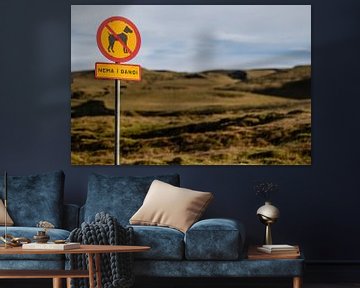 Iceland by Eric van Nieuwland