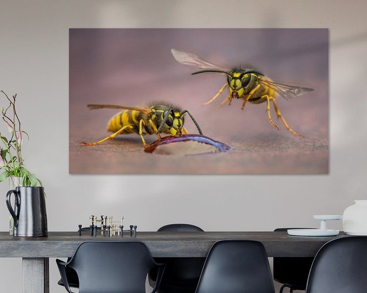 Aperçu de la chambre