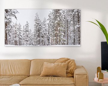 Panorama des grands arbres enneigés en Finlande