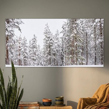 Panorama des grands arbres enneigés en Finlande