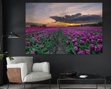 Tulpenveld Flevopolder van Fotografie Ronald