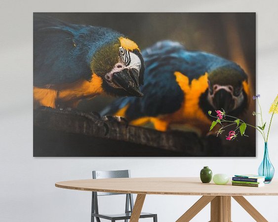 Aperçu de la chambre