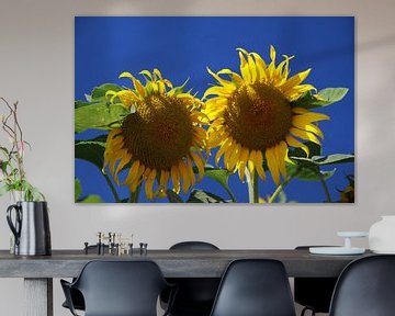 Sonnenblumen von Karina Baumgart