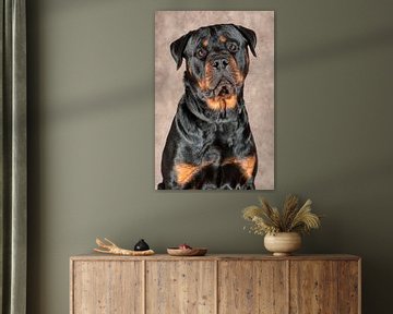 rottweiler by Tony Wuite