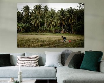 Man at work on rice paddies in the Philippines by Yvette Baur