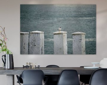 Watching over the North Sea by YuThor Photography