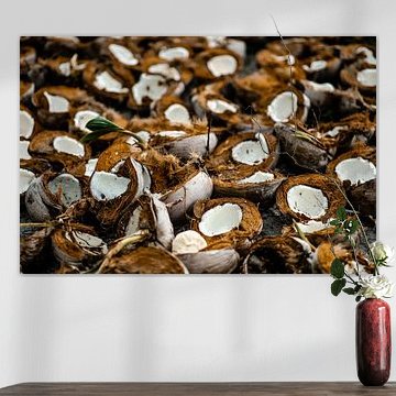 Des noix de coco sur une plantation de cocotiers aux Philippines