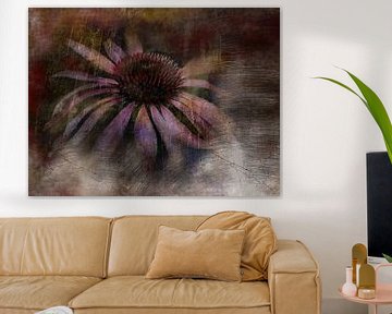 Träumerei mit Sonnenhut Echinacea von Claudia Gründler