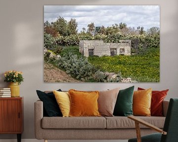 ruine van een huisje op Malta omgeven door cactussen van Eric van Nieuwland