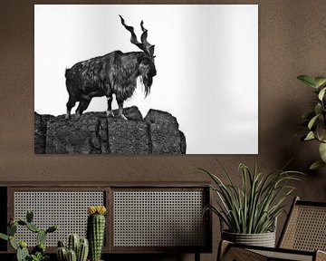 Geit Markhor staat op de berg, een dier met enorme vertakkende hoorns. van Michael Semenov