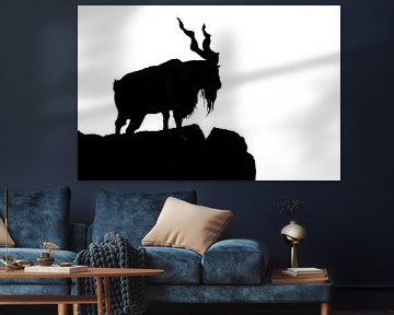 zwart silhouet van een gehoornde geit op een rots op een witte achtergrond. Geit Markhor staat op de