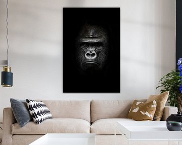 gezicht in het donker. Portret van een krachtige dominante mannelijke gorilla (fysionomie), streng g