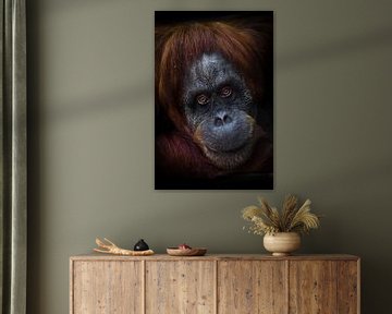 Slim intellectueel gezicht van een orang-oetan met een ironische blik en een halve glimlach, donkere van Michael Semenov