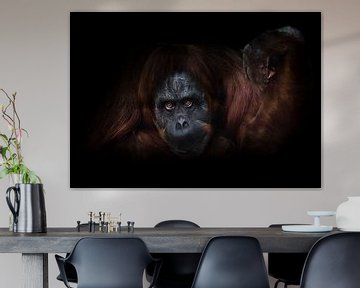 Een flegmatieke orang-oetan met een opgeheven hand op een donkere achtergrond biedt als het ware aan van Michael Semenov
