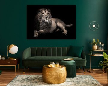 maandier (ashen). Prachtige leeuwen aristocraat in de nacht. Een krachtige mannelijke leeuw met een  van Michael Semenov