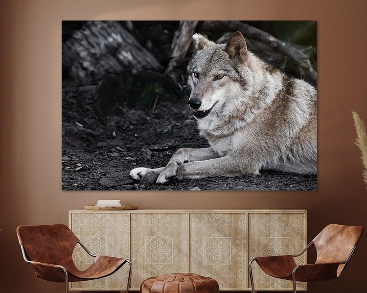 Aperçu de la chambre